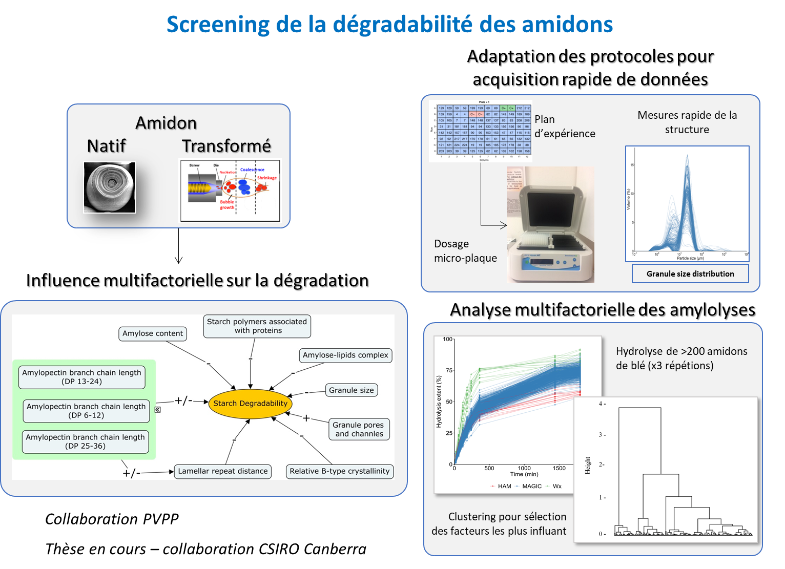 MC2-screening-amidon