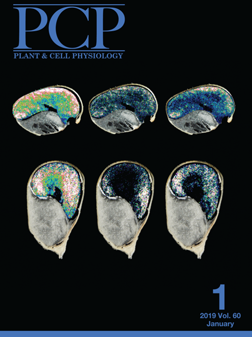 PCP Elips publication Gayral