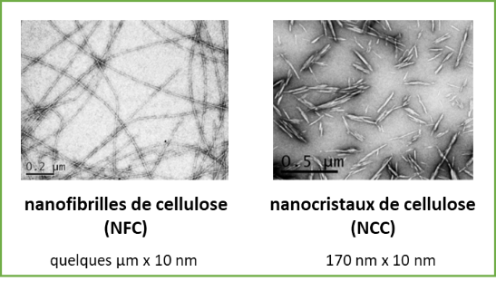 Nanofibres et Nanocristaux