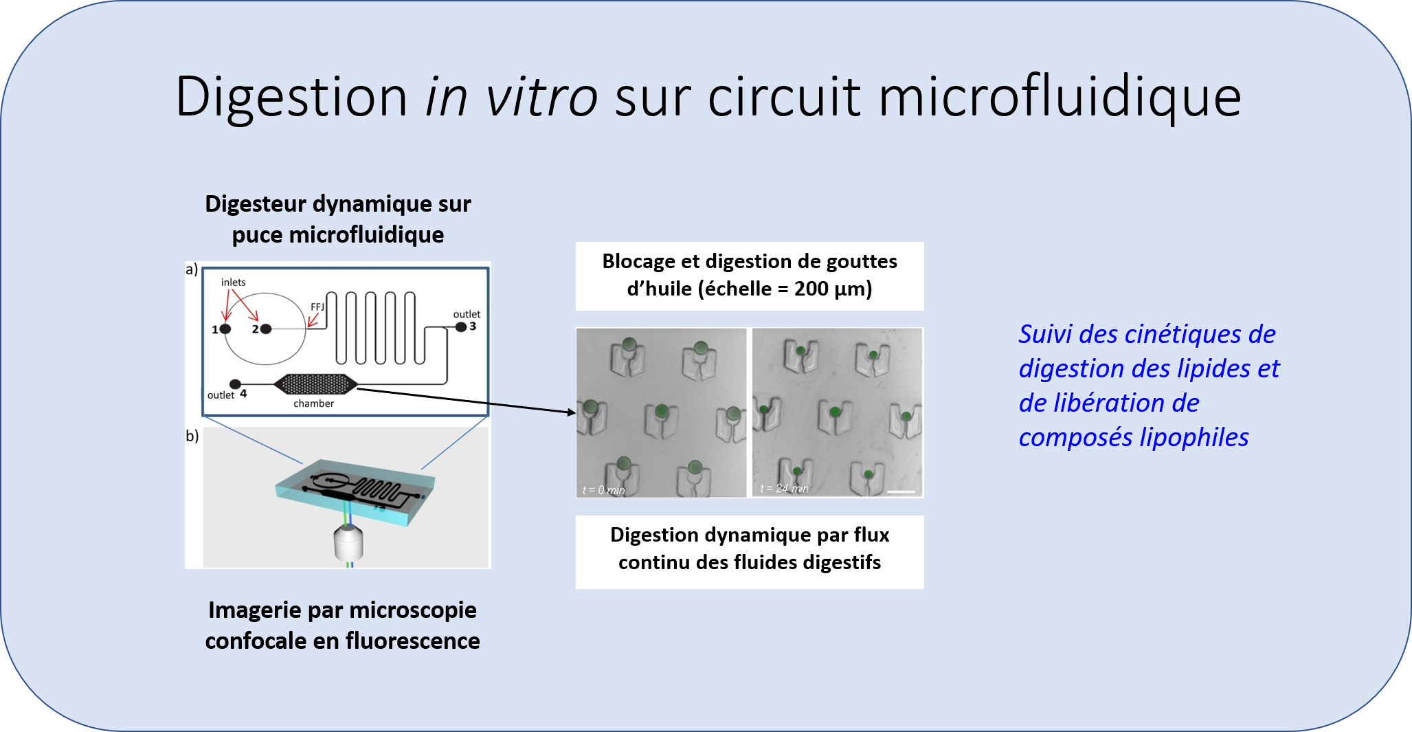 Illustration Microfluidique