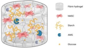 Glucoboost_MC2 Glucoboost_MC2