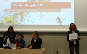 2024-08-29-PREGRALL-CFA